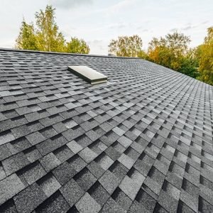 flatroofshingleroof2