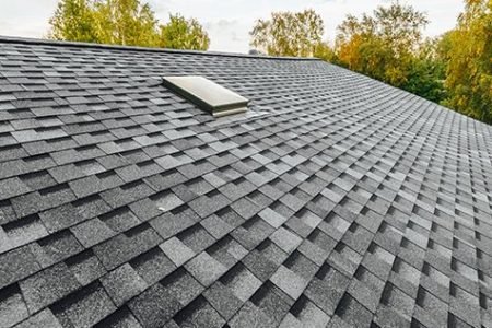 flatroofshingleroof2